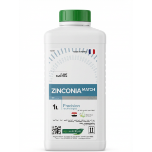 زنكونيا ماتش 