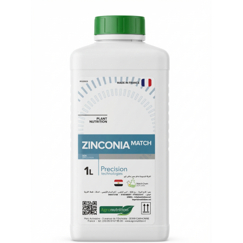 زنكونيا ماتش 